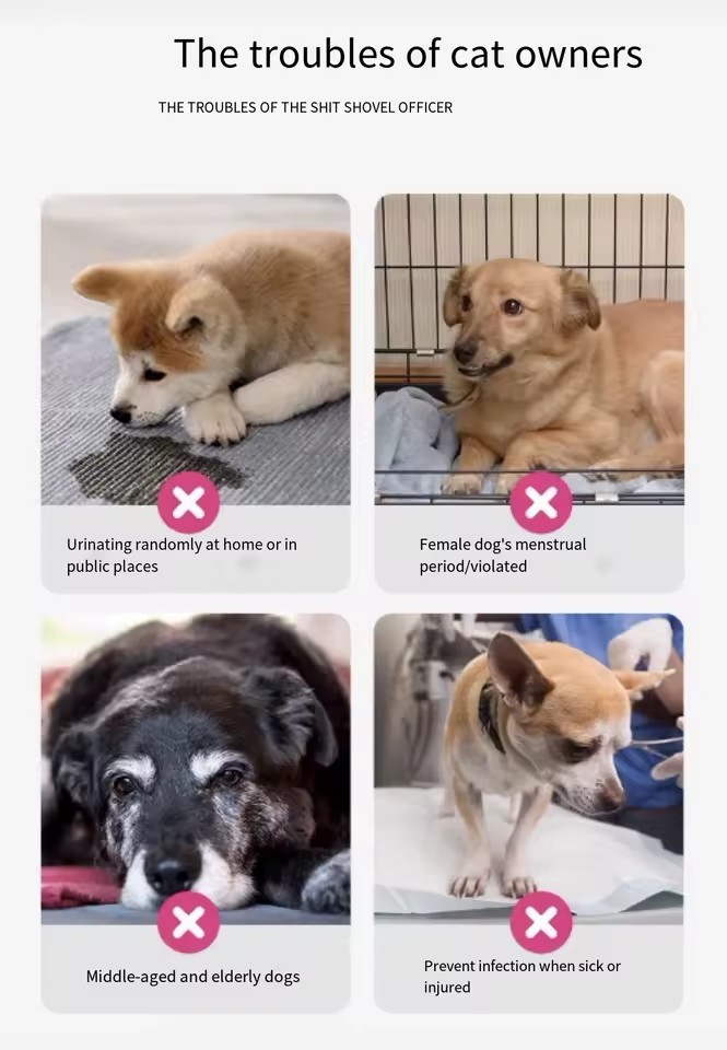 Dog Diapers Male Puppy suppliers