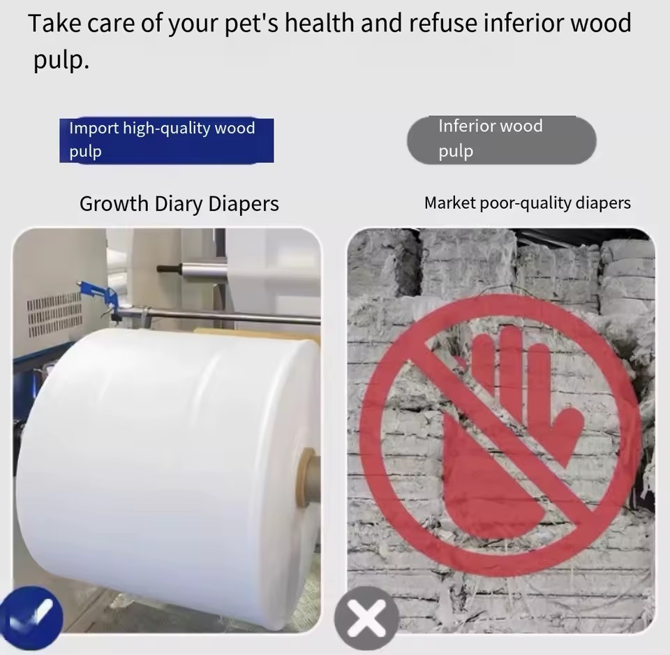 Dog Diapers Male Puppy best