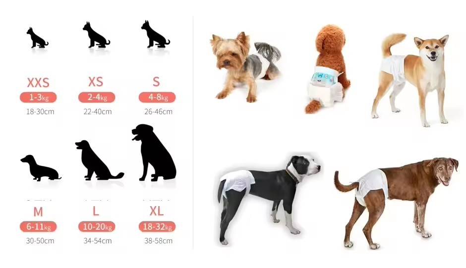 Female Dog Cloth Diapers suppliers
