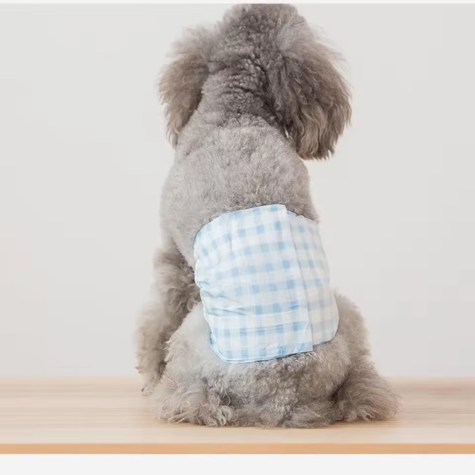 Kitty Diapers for Cats
