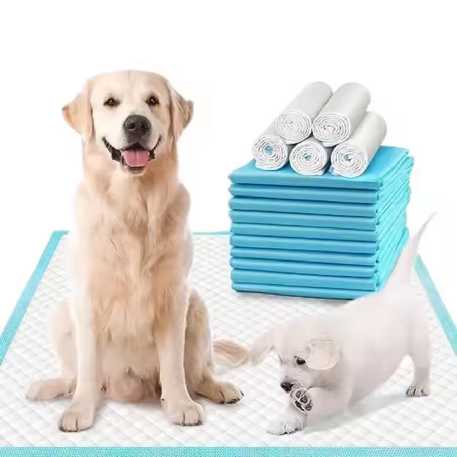 Puppy Training with Pee Pads