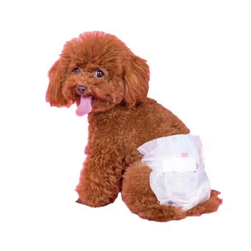 Small Cat Diapers factory