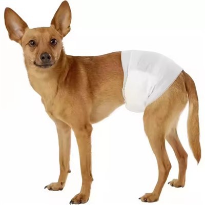 Cat Diapers for Pee Only