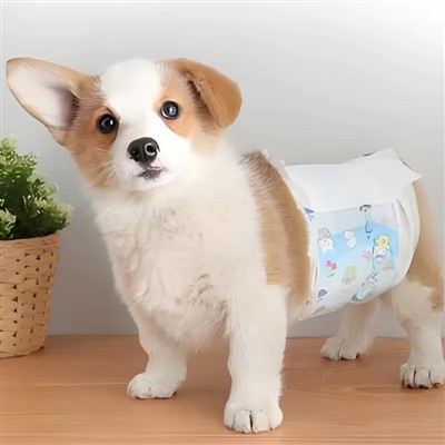 Cat Diapers for Urine