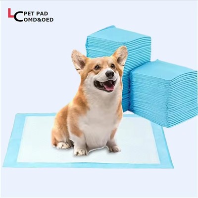 Daily Pet Care
