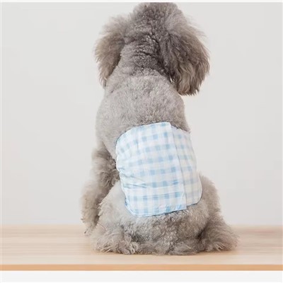 Kitty Diapers for Cats