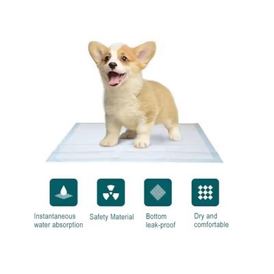 Pet Health Check-up And Vaccination